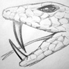 some snake...